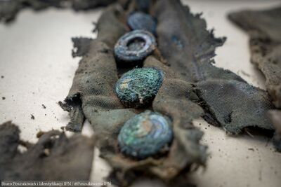 Wspólne prace poszukiwawczo-ekshumacyjne IPN i Ministerstwa Obrony Republiki Czeskiej w Głubczycach – 18-21 sierpnia 2025. Fot. Krzysztof Mikołajczyk (BPiI IPN)