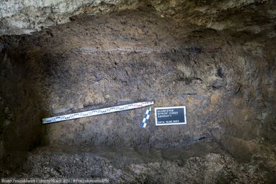 Wspólne prace poszukiwawczo-ekshumacyjne IPN i Ministerstwa Obrony Republiki Czeskiej w Głubczycach – 18-21 sierpnia 2025. Fot. Krzysztof Mikołajczyk (BPiI IPN)