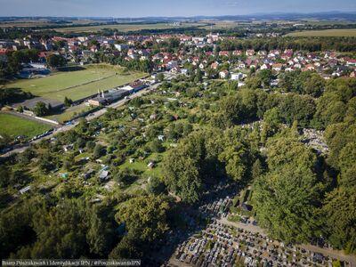Wspólne prace poszukiwawczo-ekshumacyjne IPN i Ministerstwa Obrony Republiki Czeskiej w Głubczycach – 18-21 sierpnia 2025. Fot. Krzysztof Mikołajczyk (BPiI IPN)